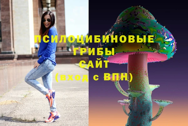 ГАЛЛЮЦИНОГЕННЫЕ ГРИБЫ Алексеевка