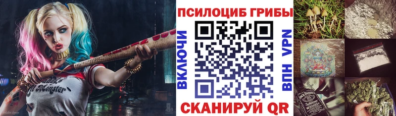 Галлюциногенные грибы Psilocybe  Заволжск 