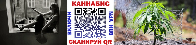 mega ссылки  хочу наркоту  Заволжск  Бошки Шишки ГИДРОПОН 